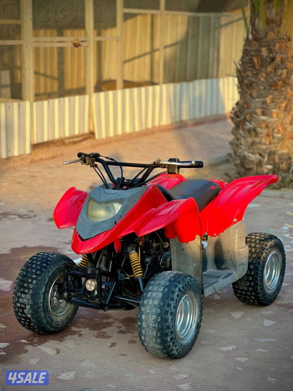 50 CC Amiri Buggy2