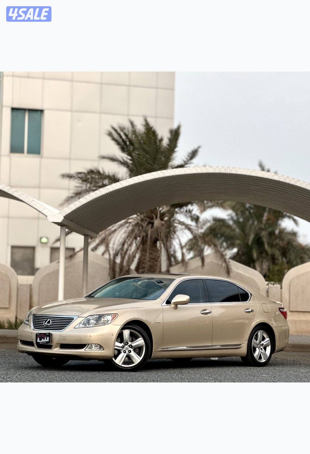 معرض القمة🚩0