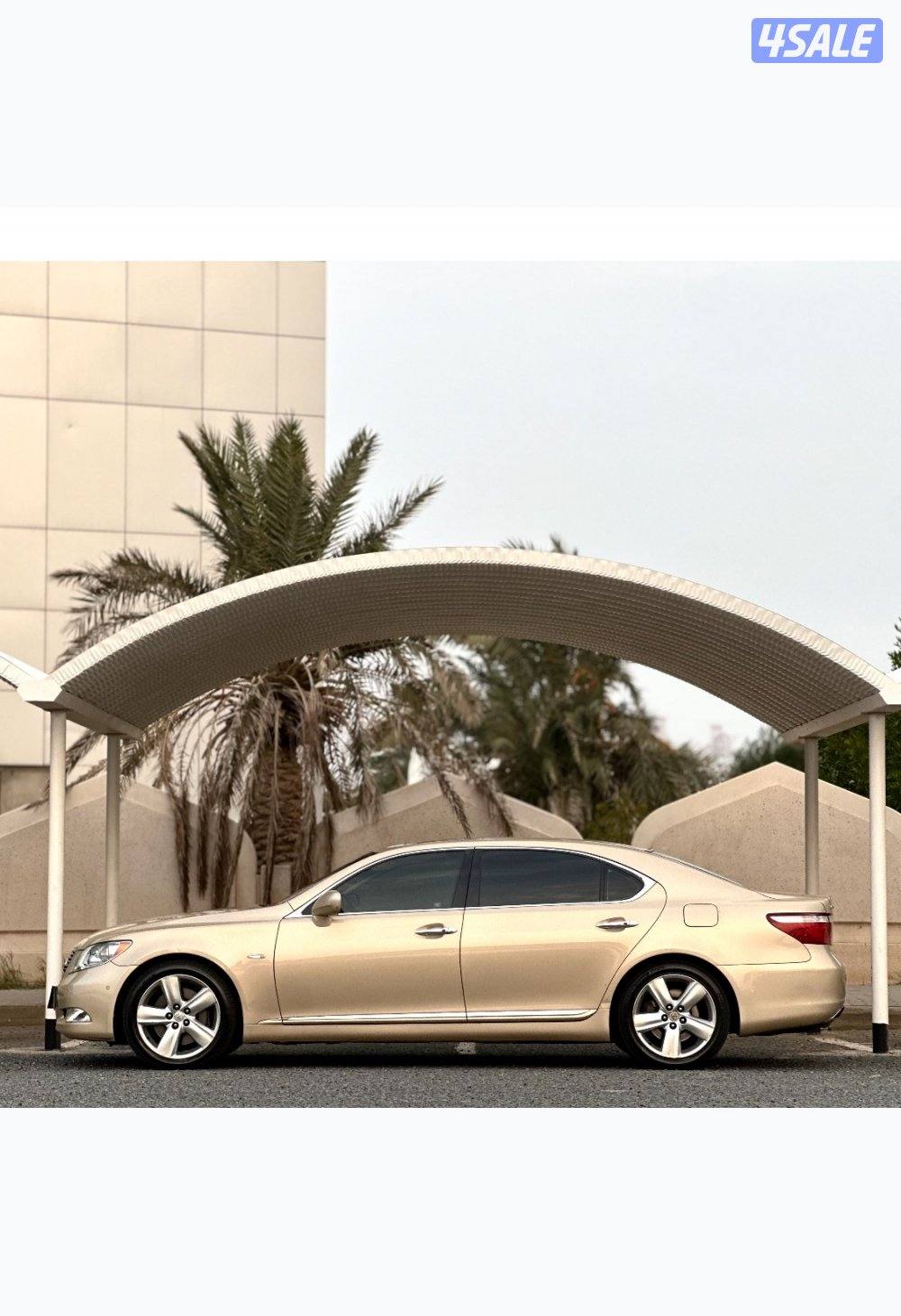 معرض القمة🚩1