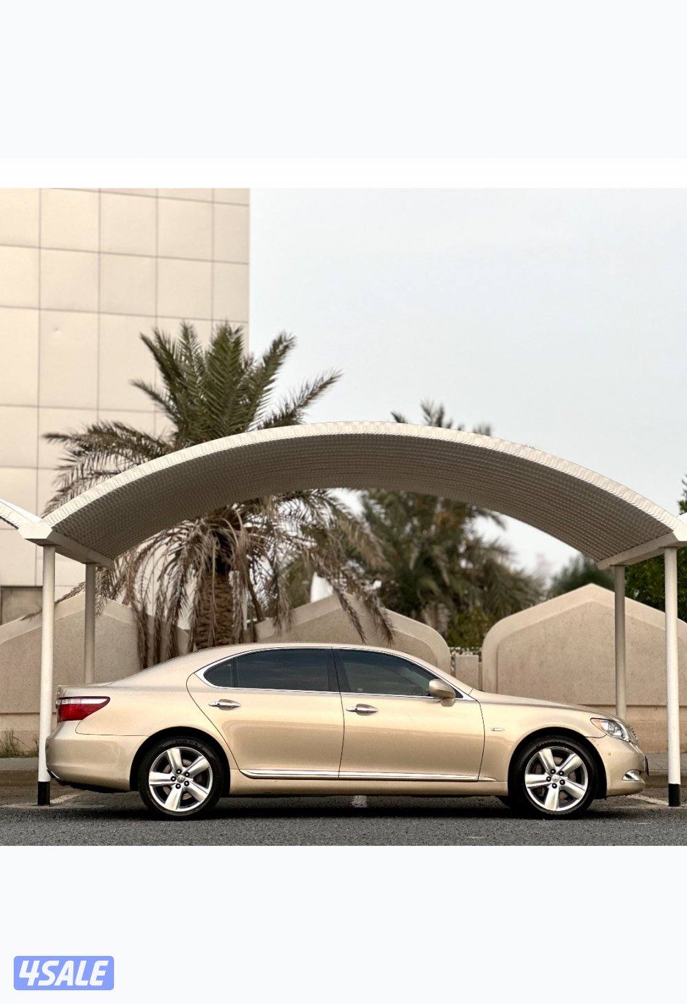 معرض القمة🚩3