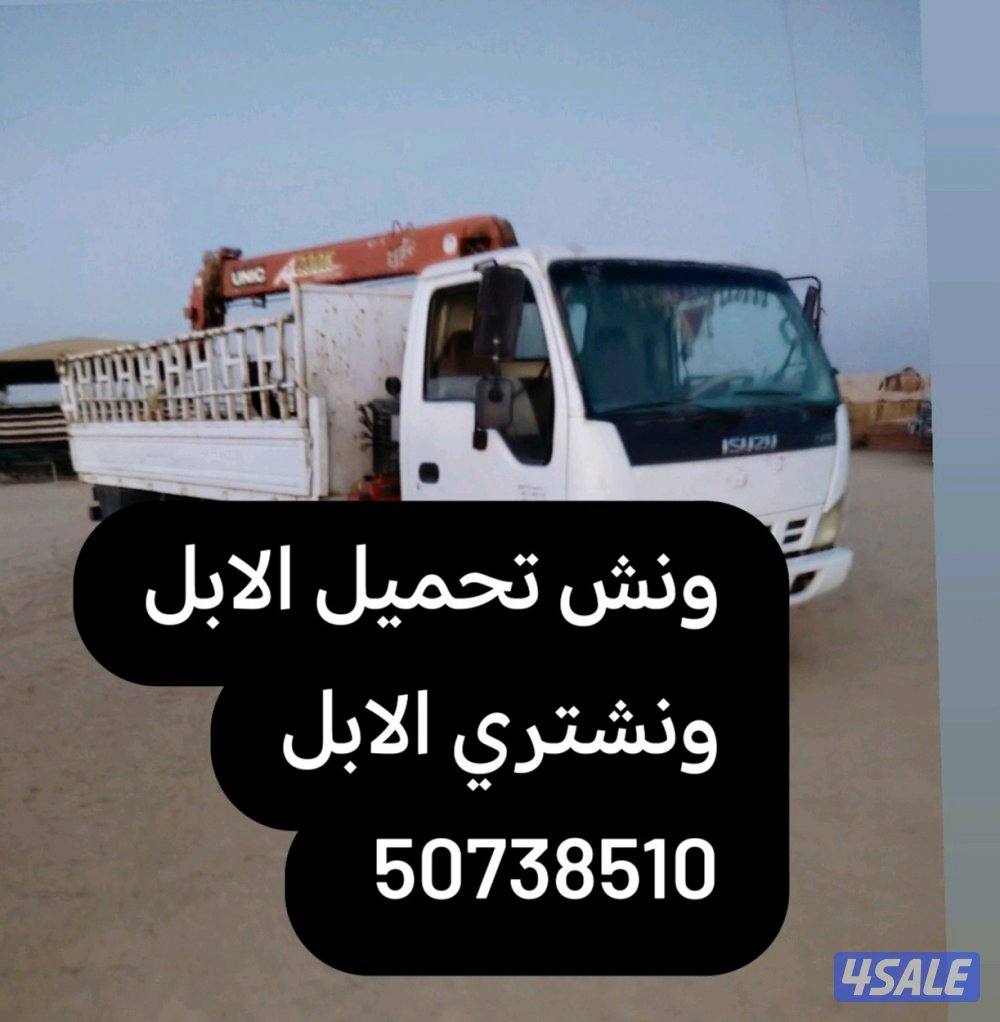 ونش تحميل الابل جميع مناطق الكويت ونشتري0