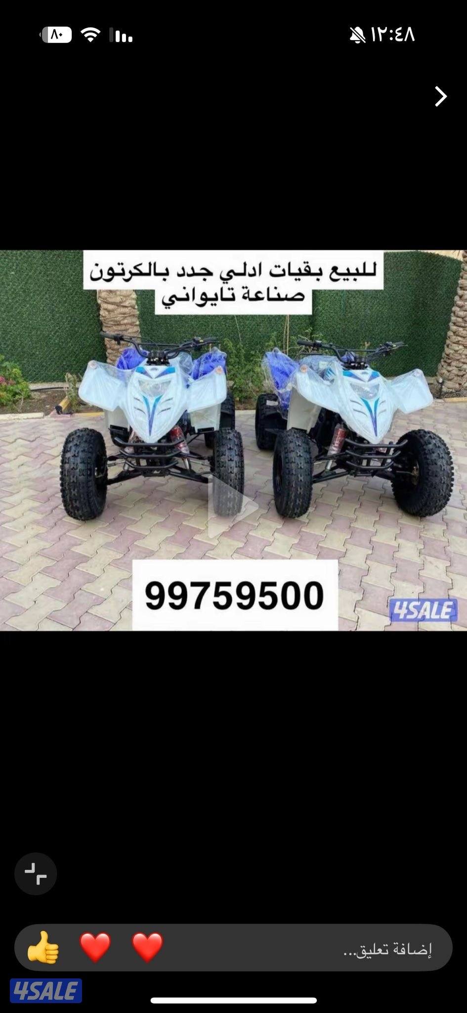 للبيع بقيات العميري جدد بالكرتون4