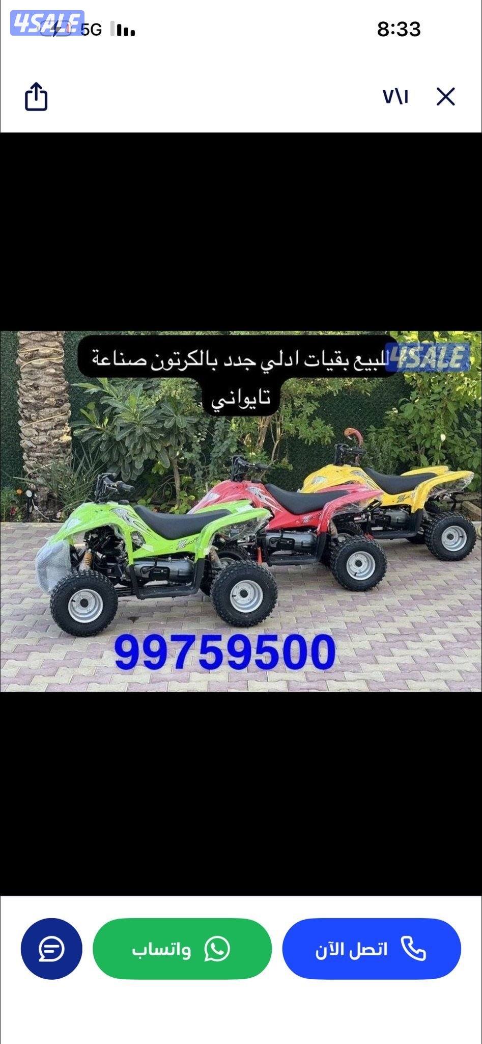 للبيع بقيات العميري جدد بالكرتون5