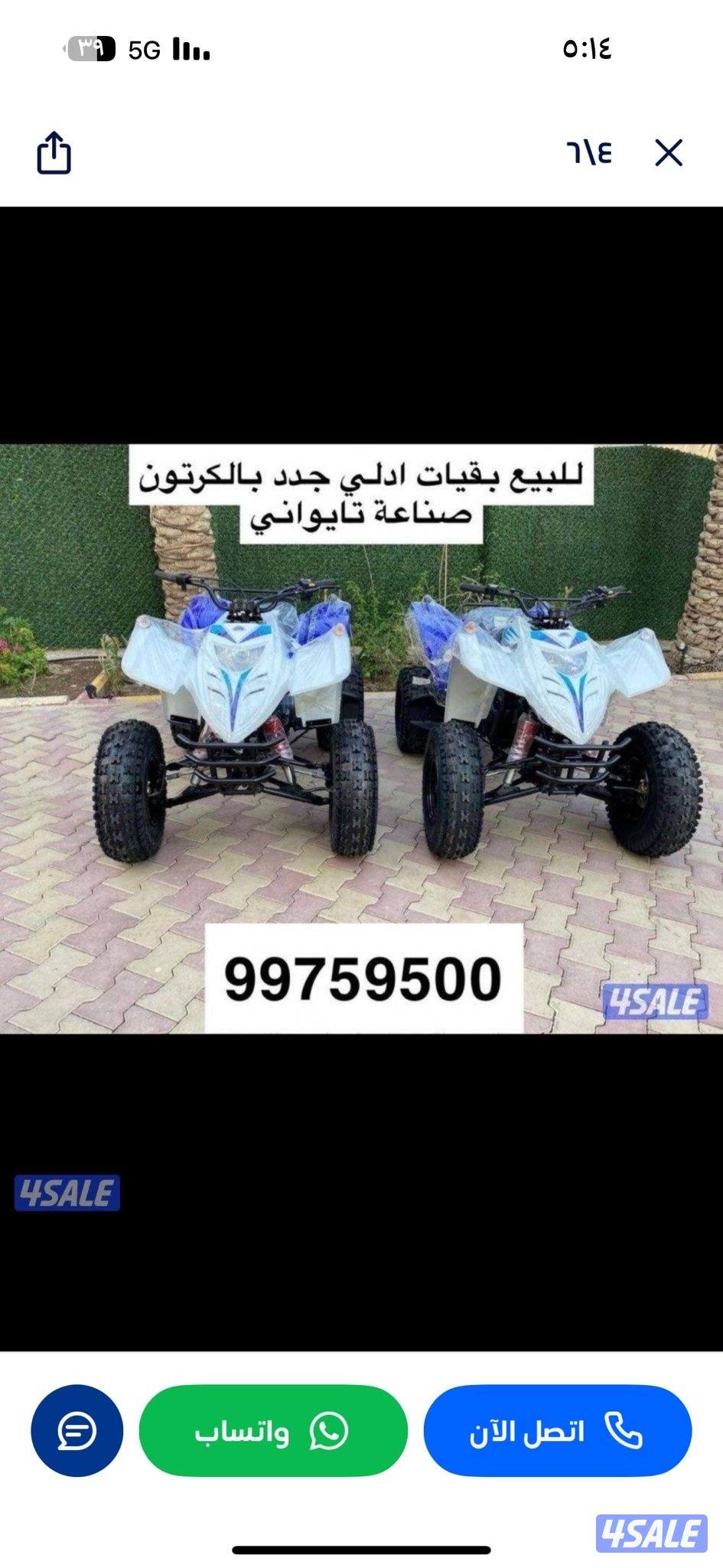 للبيع بقيات العميري جدد بالكرتون7