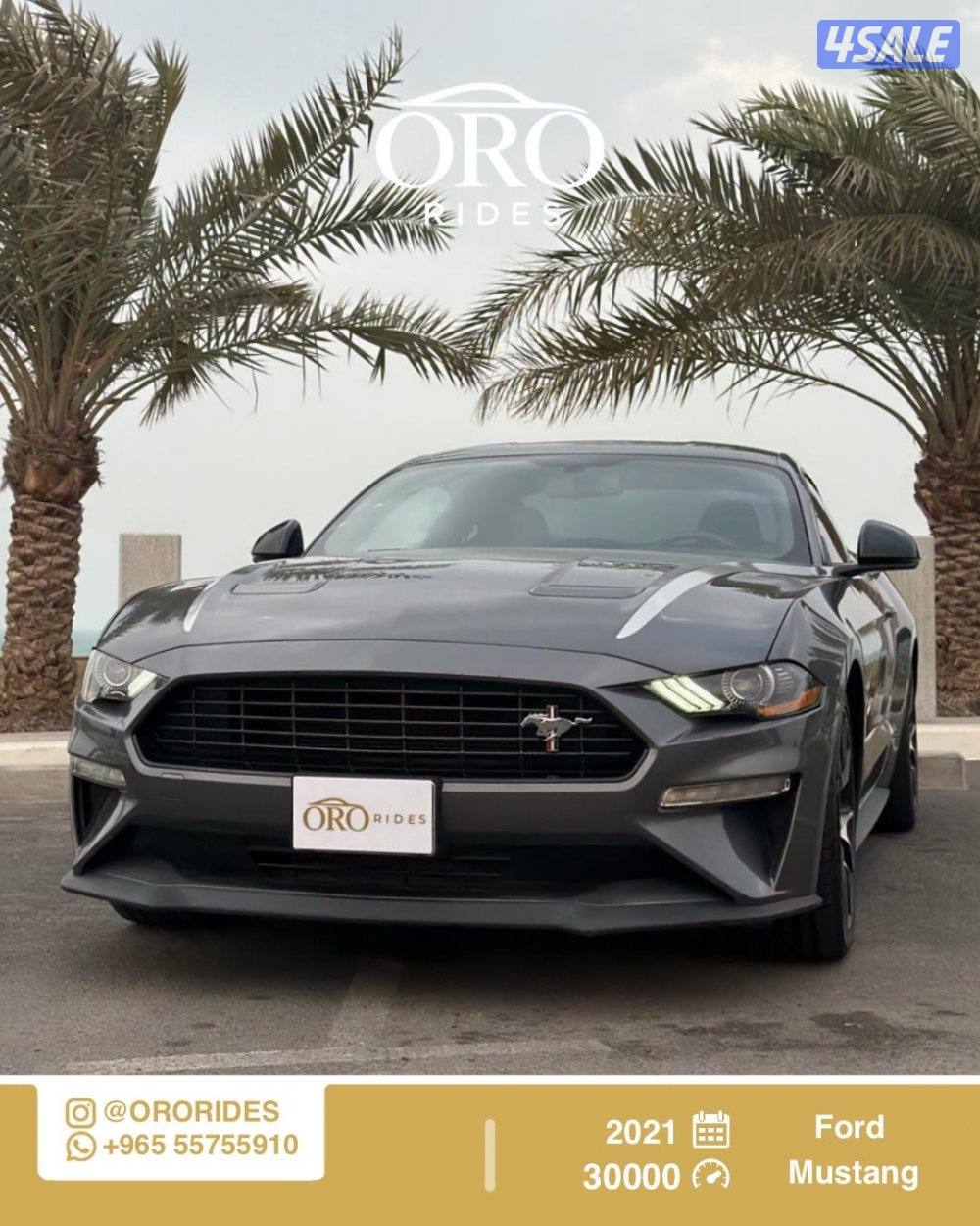 Ford Mustang High Performance0