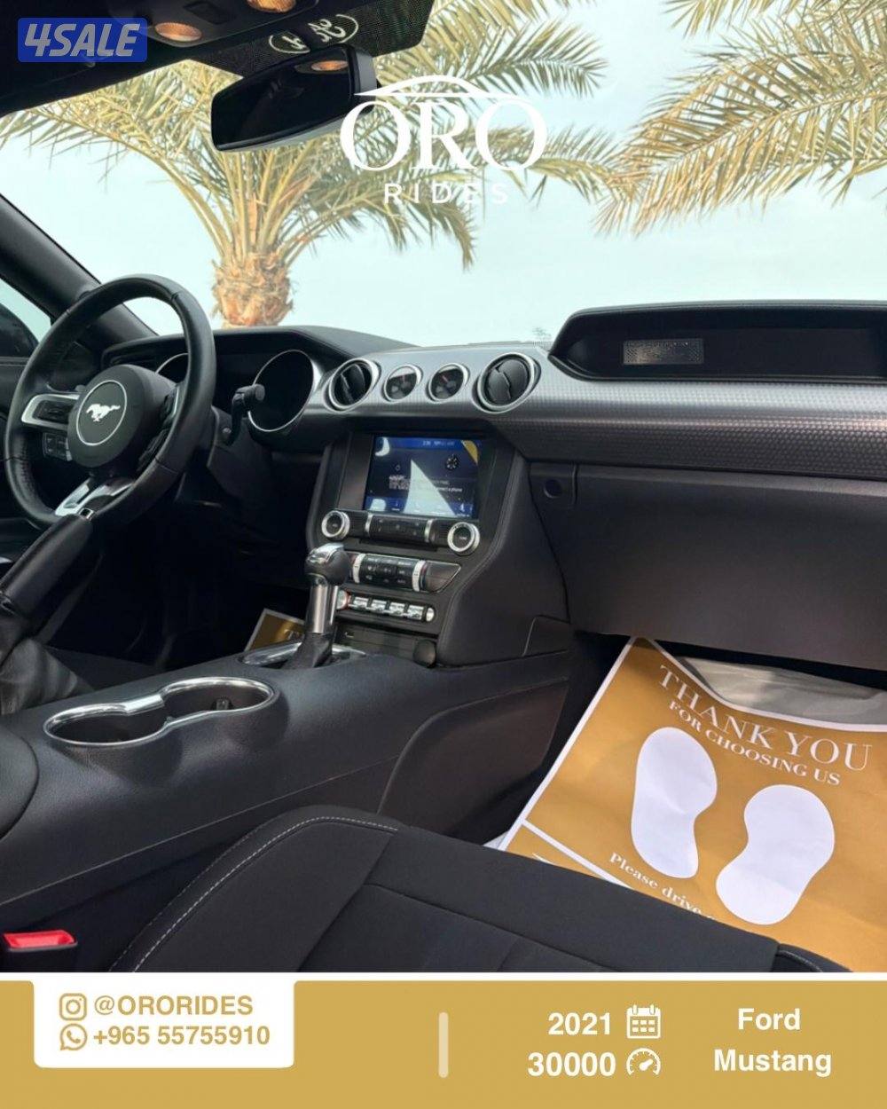 Ford Mustang High Performance2