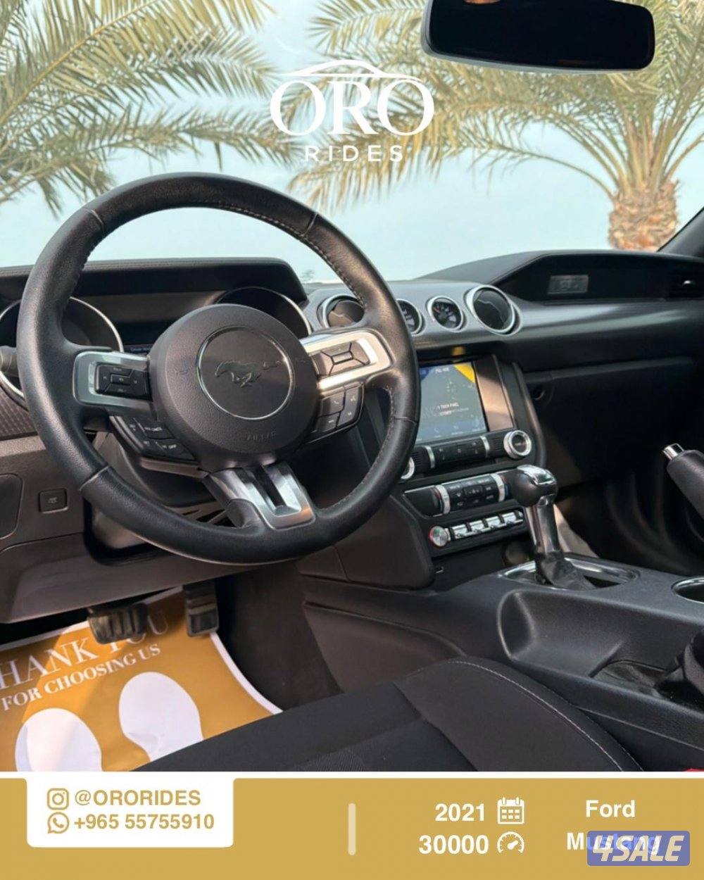 Ford Mustang High Performance3