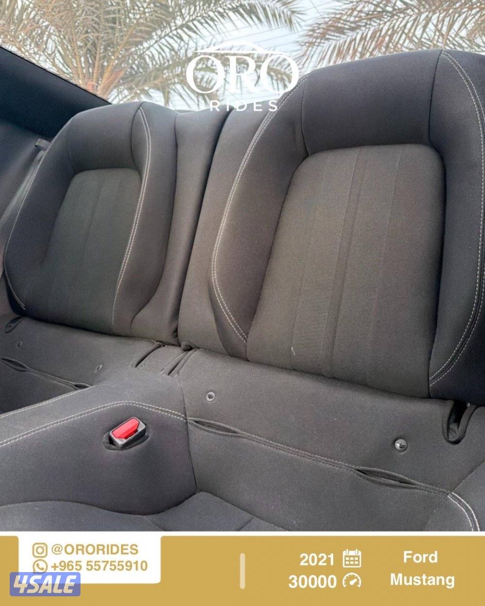 Ford Mustang High Performance4