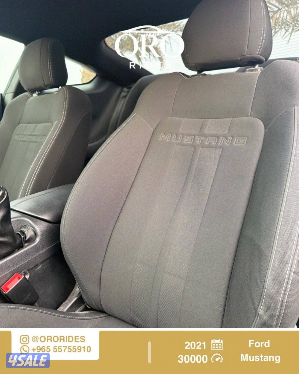 Ford Mustang High Performance5