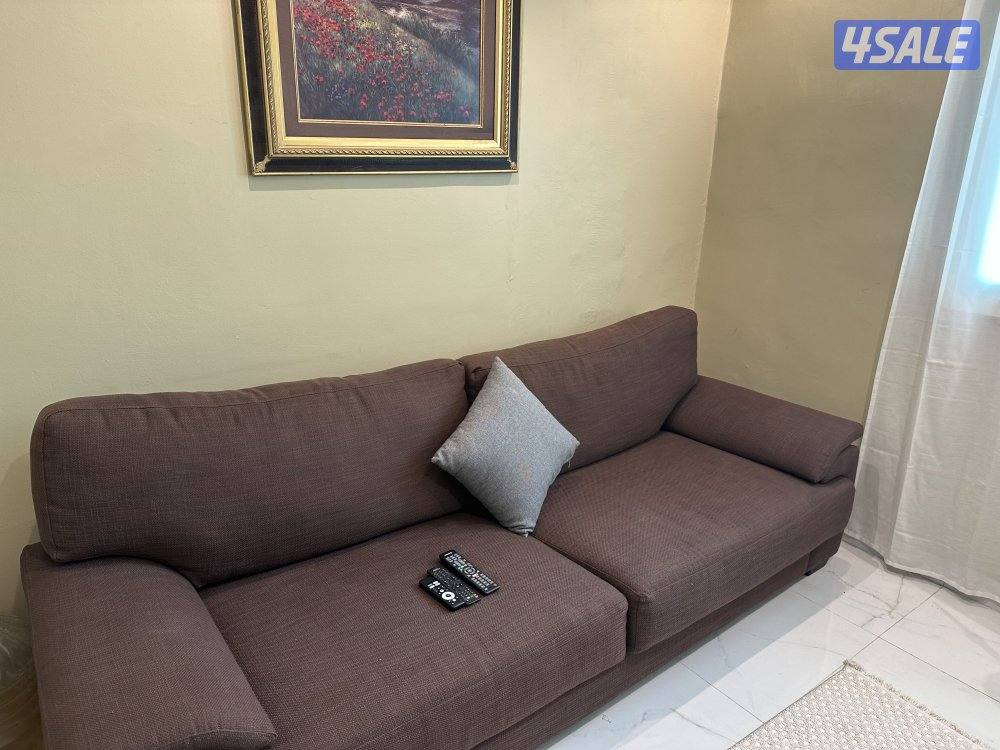 جليب الشيوخ1