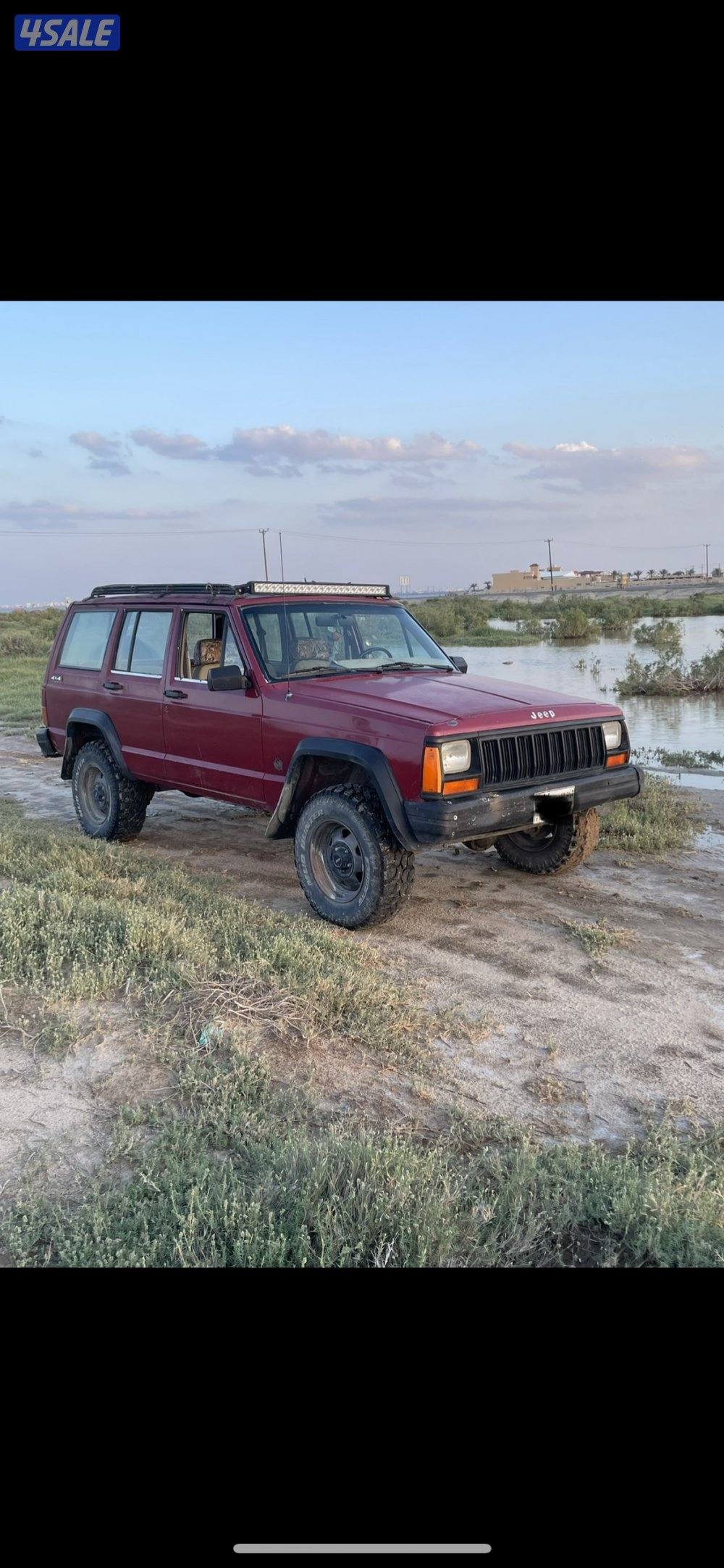 ٩١ قير عادي اساس سلوقي بهبهاني2