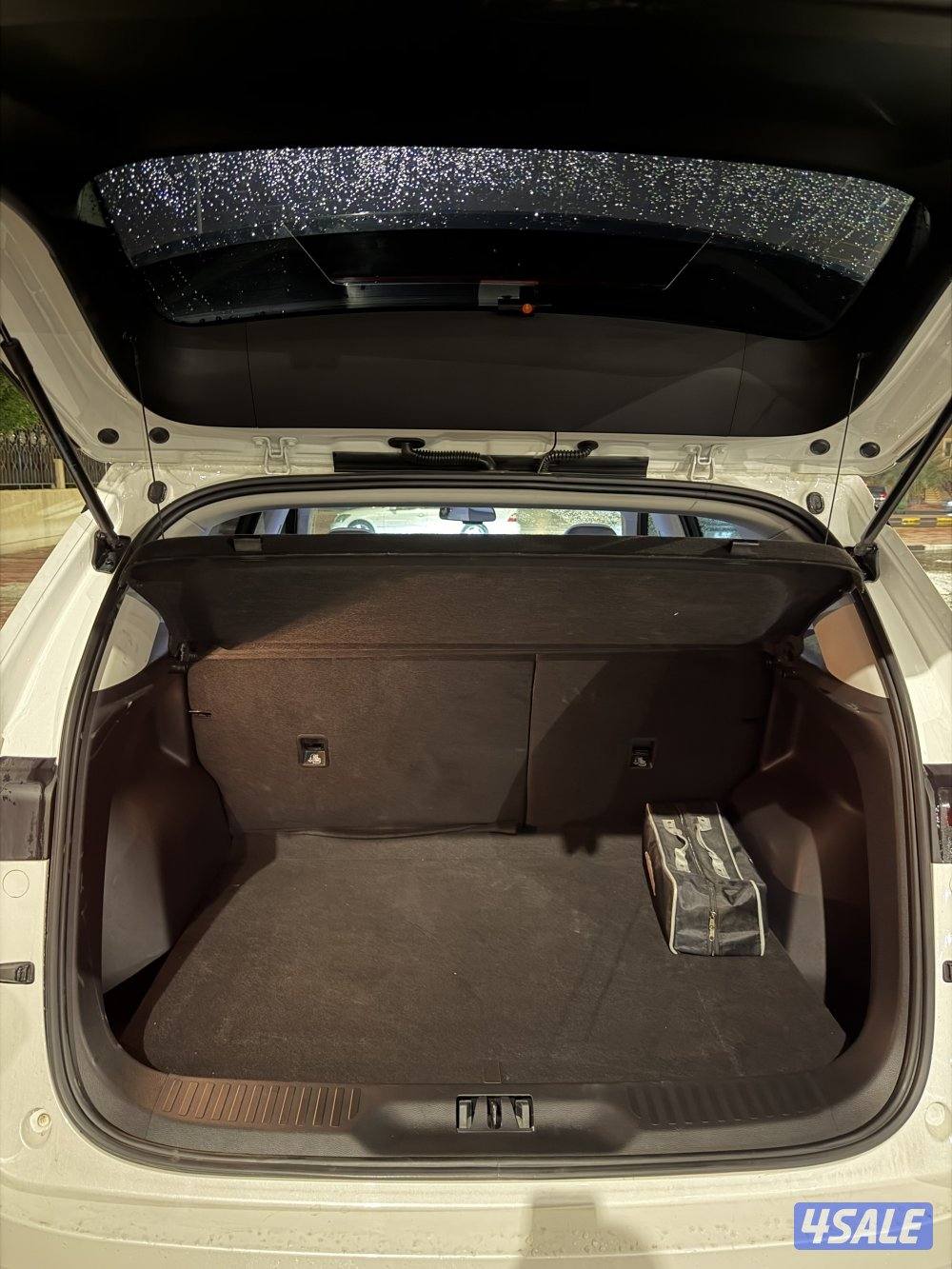 فورد تيريتوري4