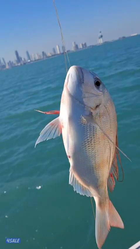 استأجر طراد صيد حداق ايجار طراد رحلات بحرية تاجير طراد حداق1