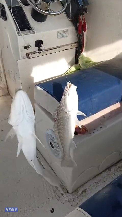 استأجر طراد صيد حداق ايجار طراد رحلات بحرية تاجير طراد حداق6