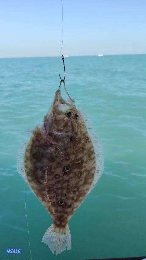 استأجر طراد صيد حداق ايجار طراد رحلات بحرية تاجير طراد حداق12