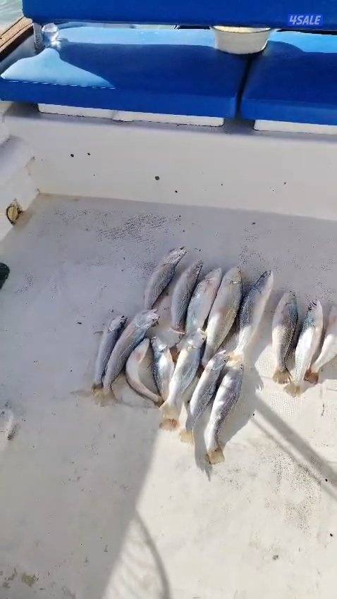 استأجر طراد صيد حداق ايجار طراد رحلات بحرية تاجير طراد حداق11