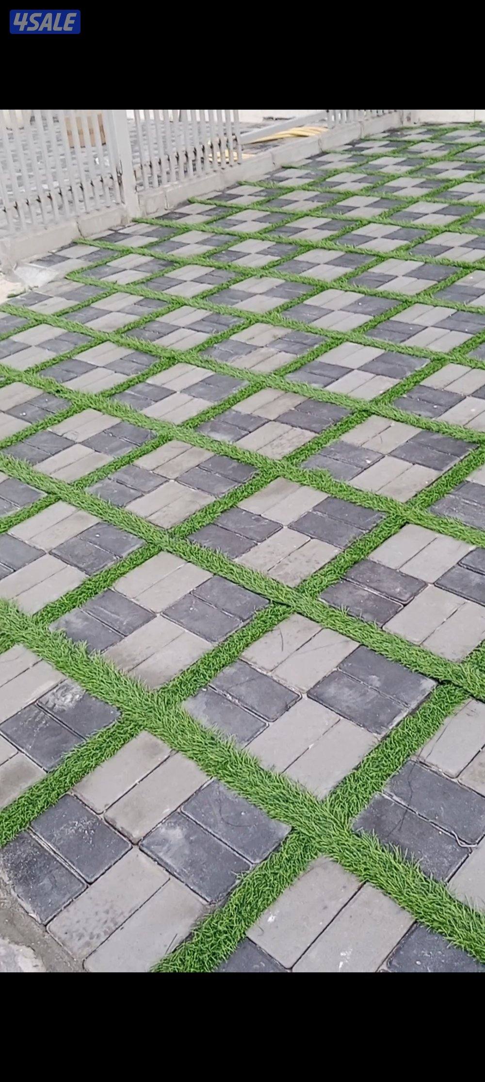 معلم والمقاول الباكستاني ابو علی10