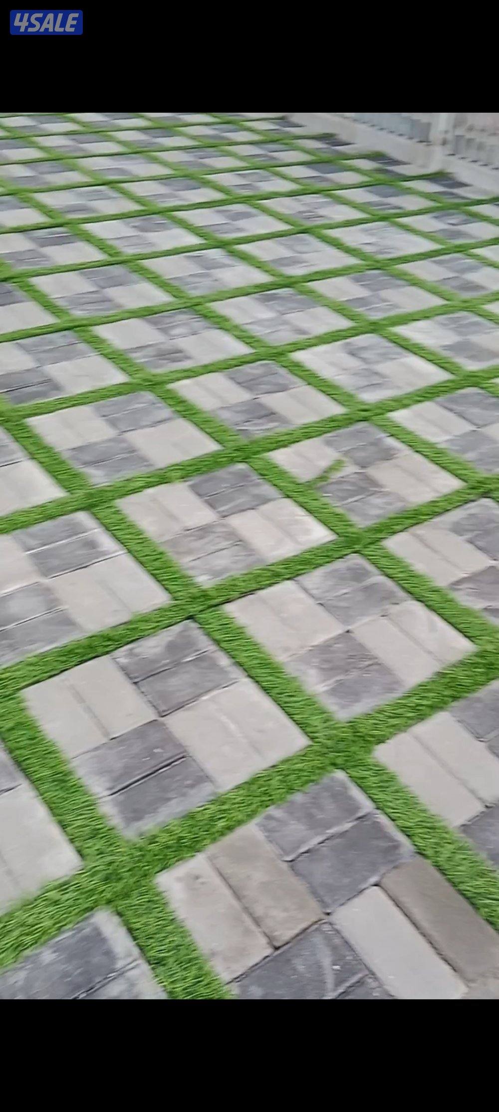 معلم والمقاول الباكستاني ابو علی12