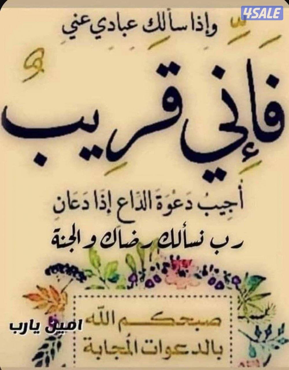 شقه للإيجار غرفة وصالة0