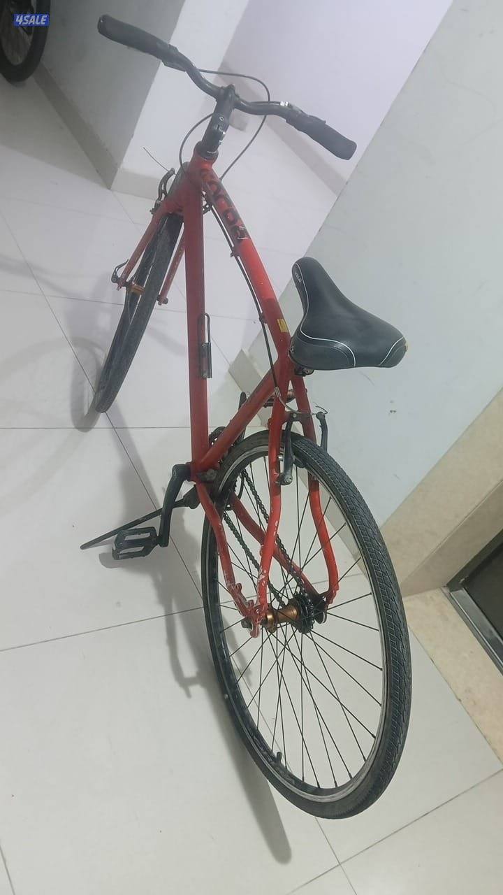 دراجة نظيفه0