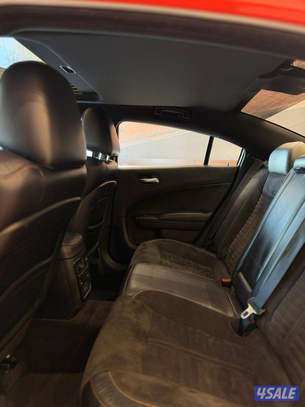 📍معرض القرين الدولية 📍6