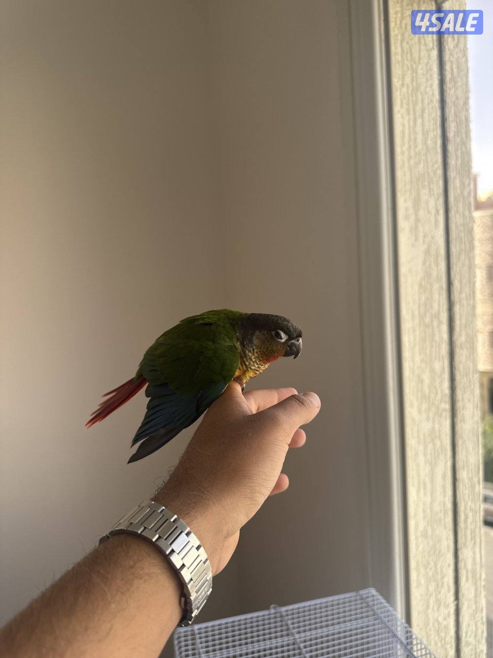 جابر الأحمد0