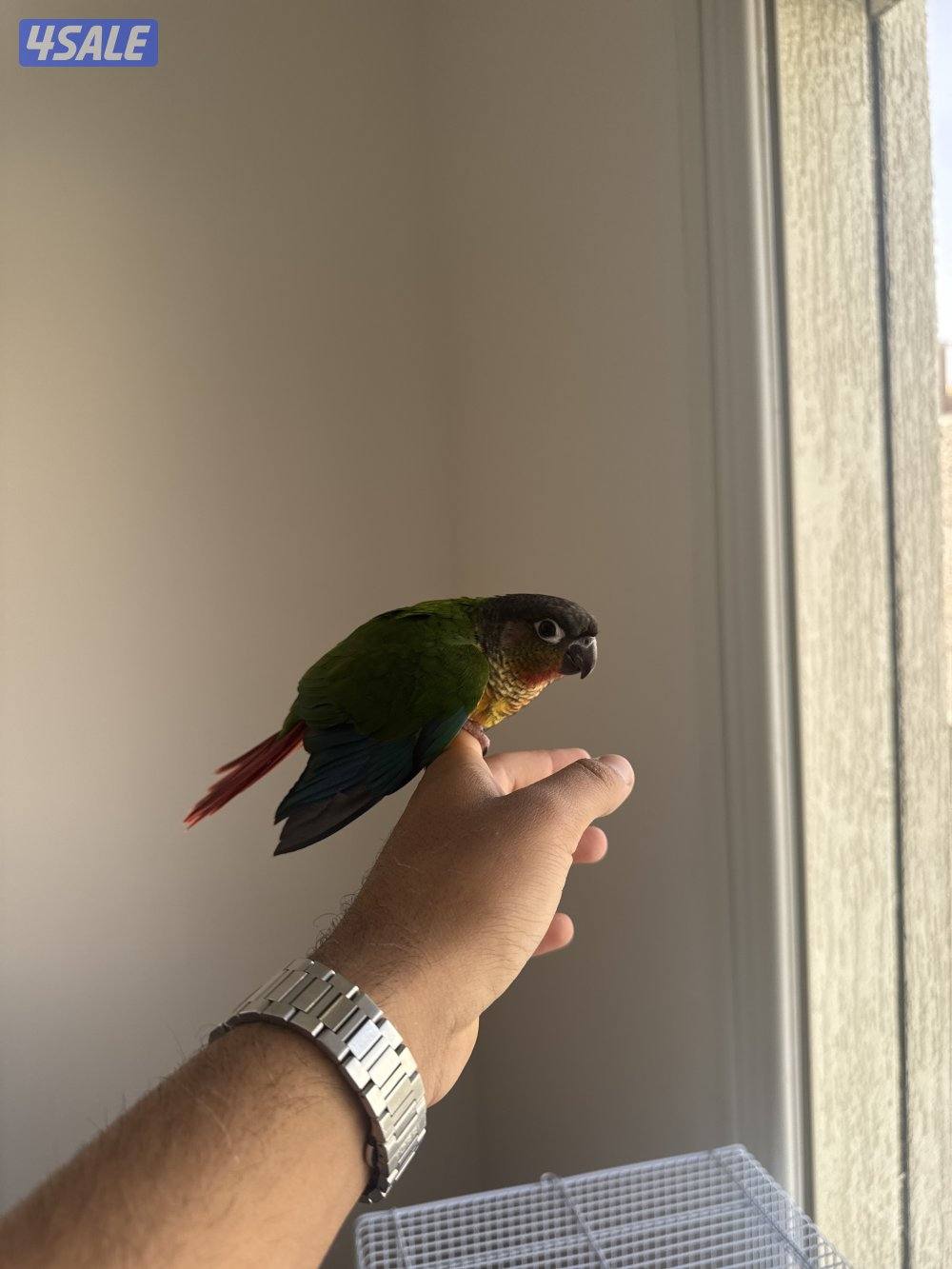 جابر الأحمد1