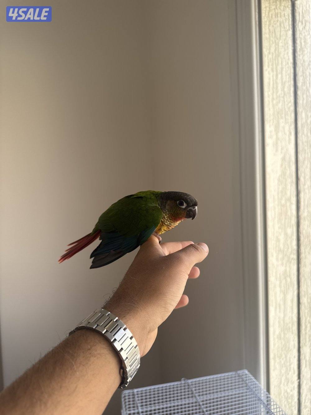 جابر الأحمد2