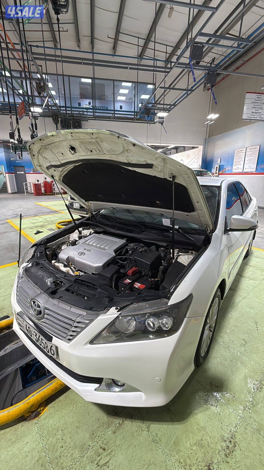 للبيع اورين شرط الفحص4