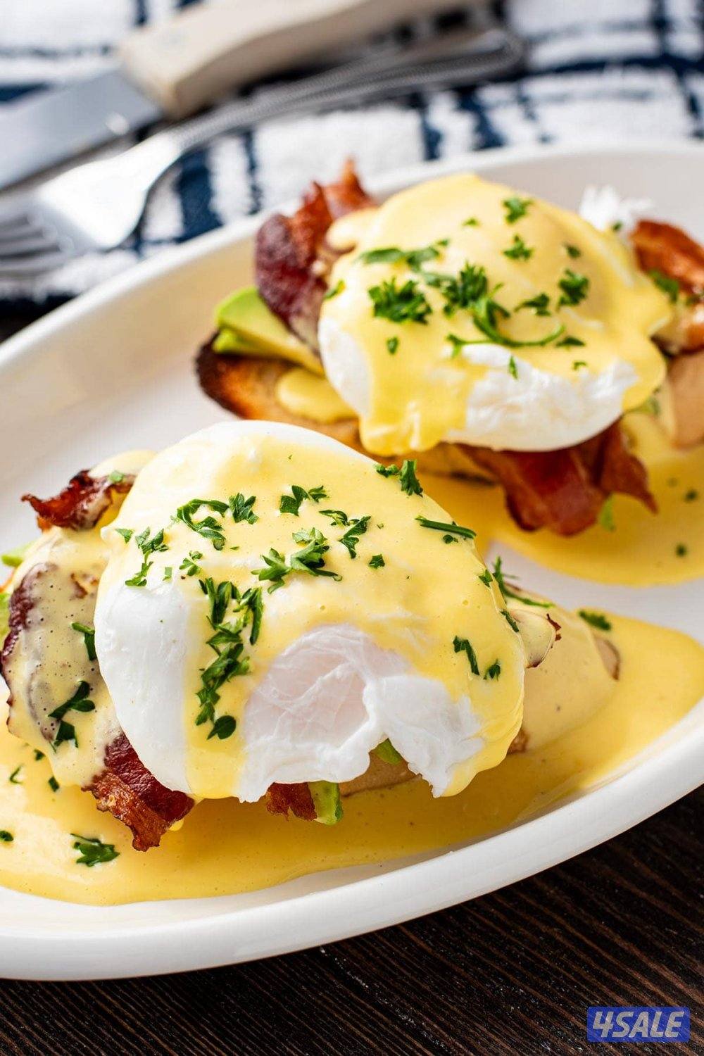 شيف برغر وباستا سخن وبارد شيف بوفيهات6