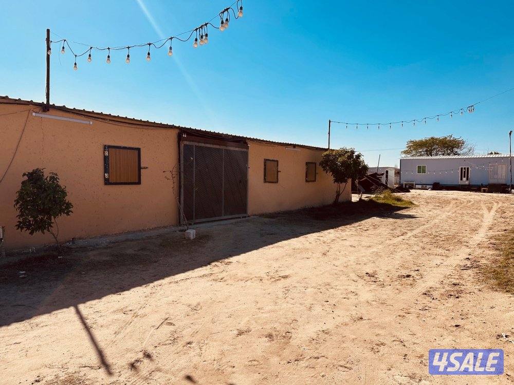 مربط جديد عند ستاربكس ومستشفى الخيل🐎0