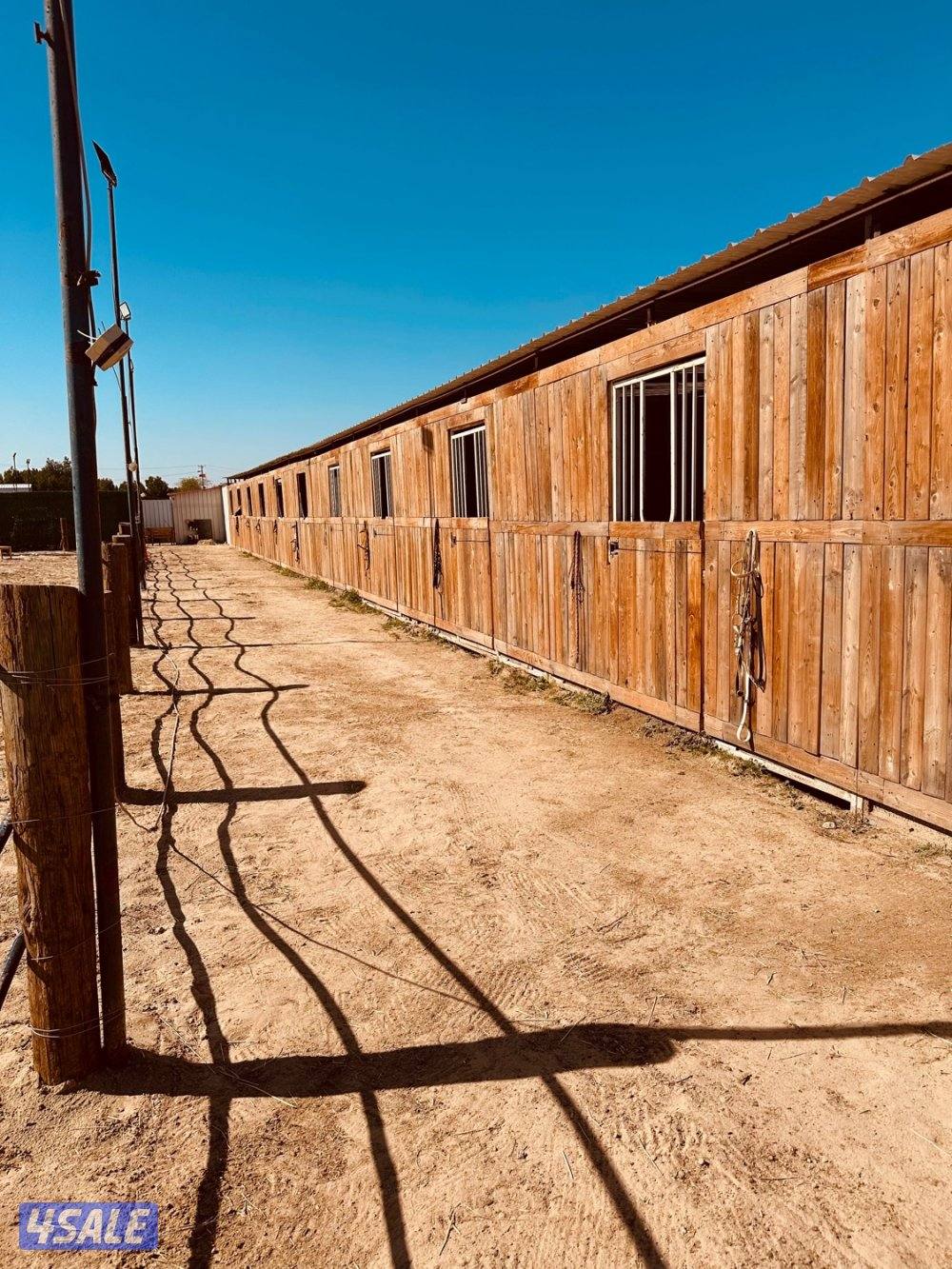 مربط جديد عند ستاربكس ومستشفى الخيل🐎5