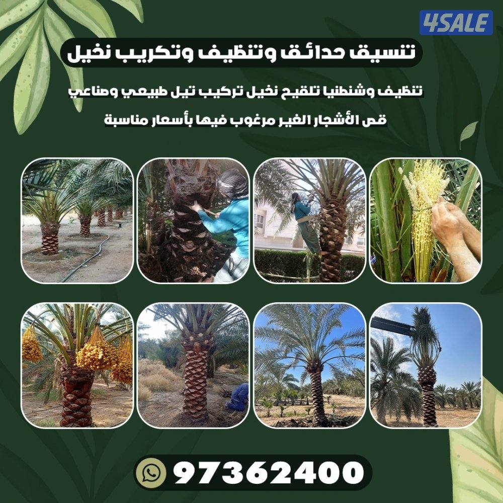 تنسيق حدائق وتنظيف وتكريب نخيل3