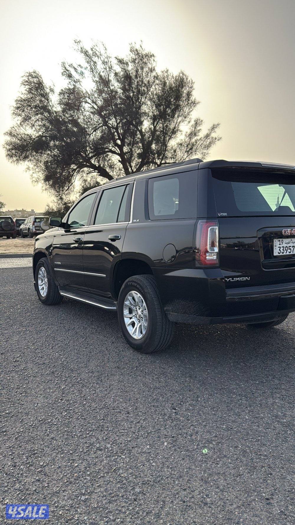 للبيع يكون sle 20203