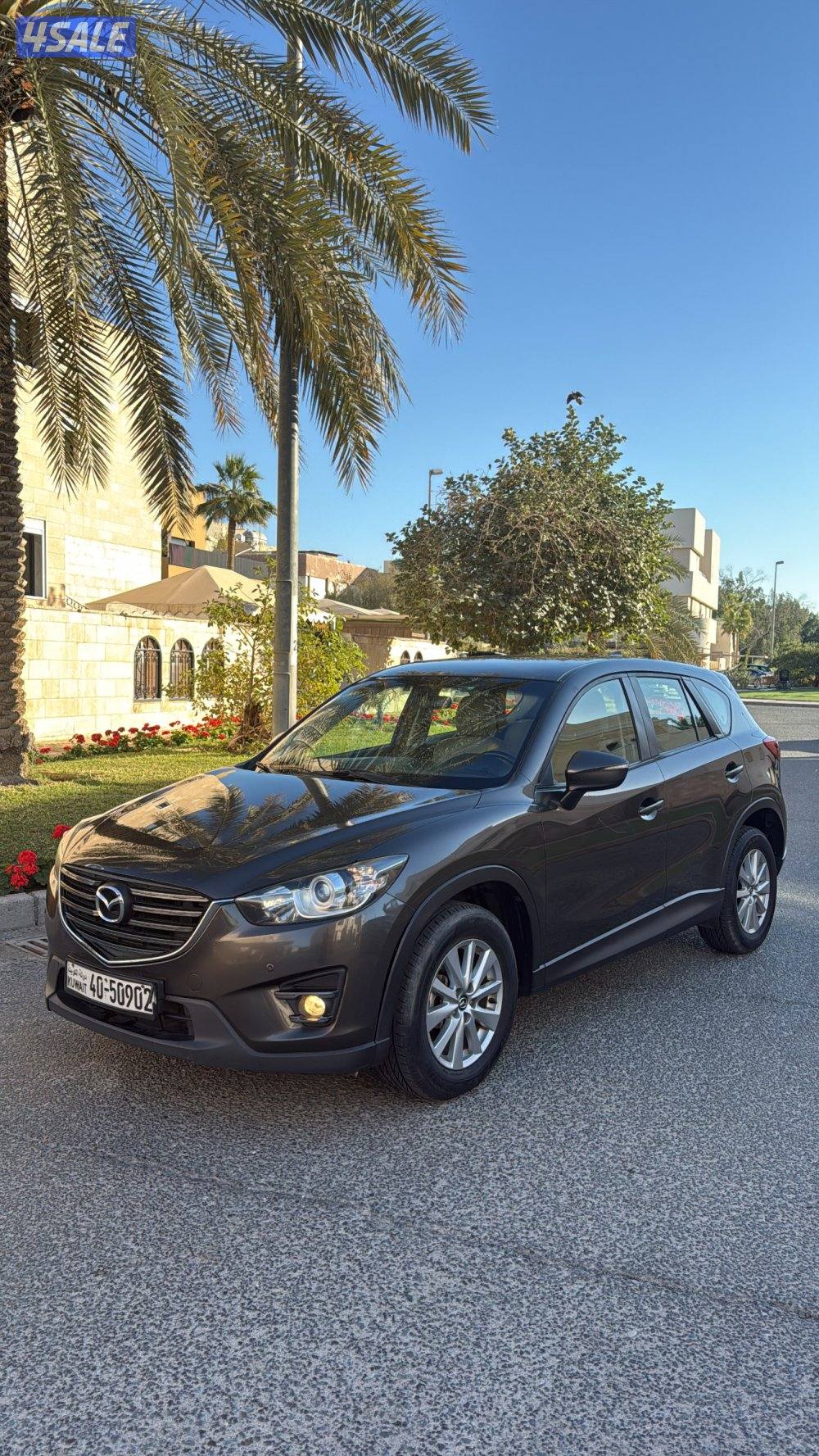 صبغ الوكاله بحالة الوكاله1