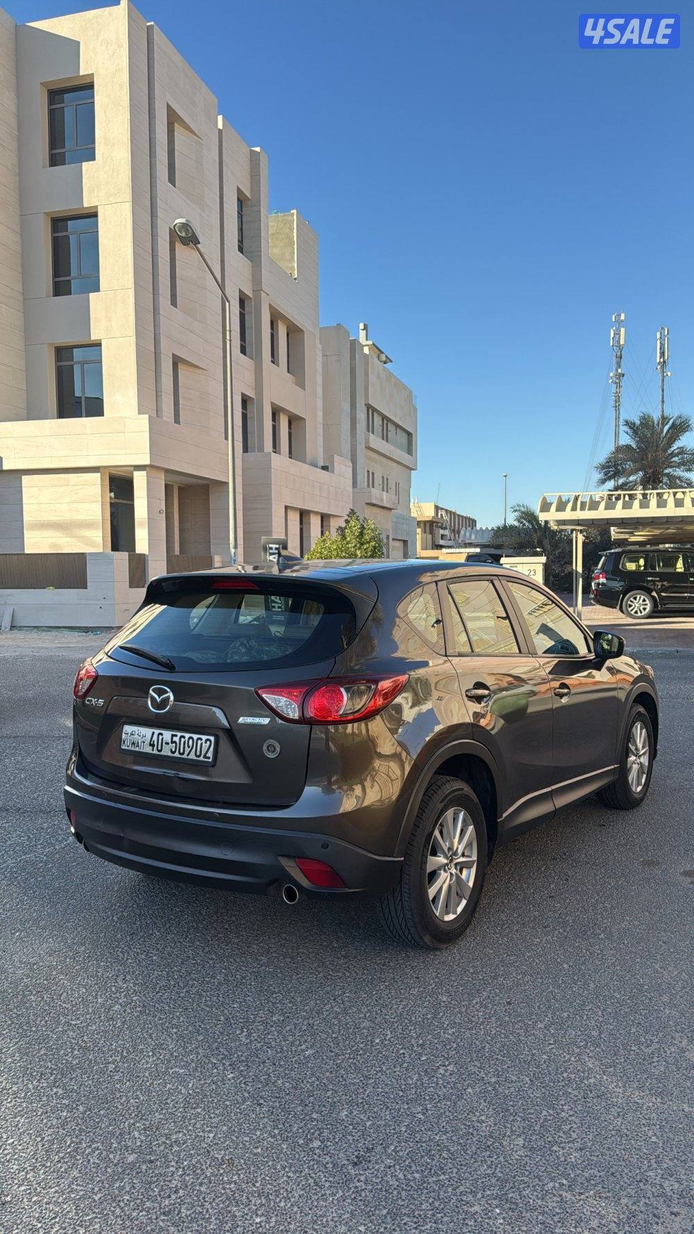 صبغ الوكاله بحالة الوكاله3