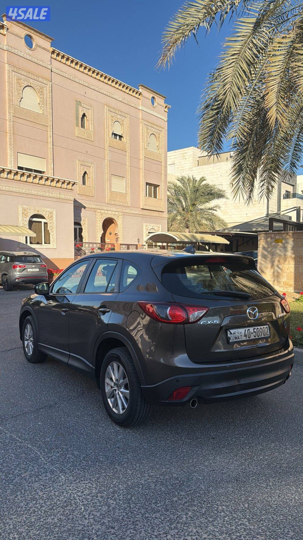 صبغ الوكاله بحالة الوكاله4