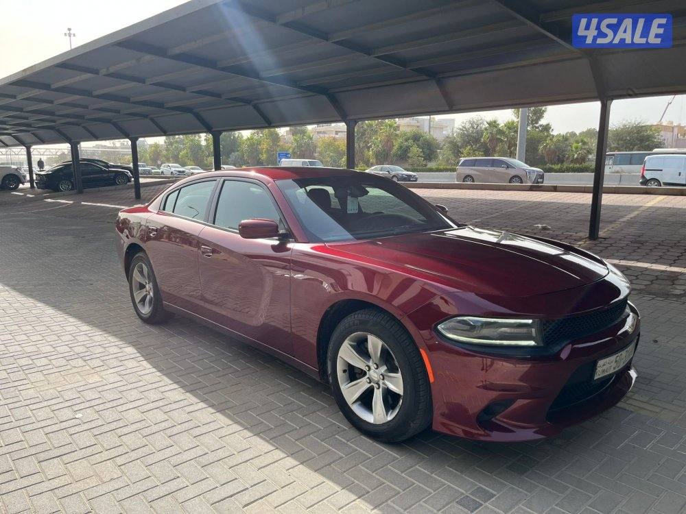 دووج جارجر ماشي 120 صبغ قطعه1