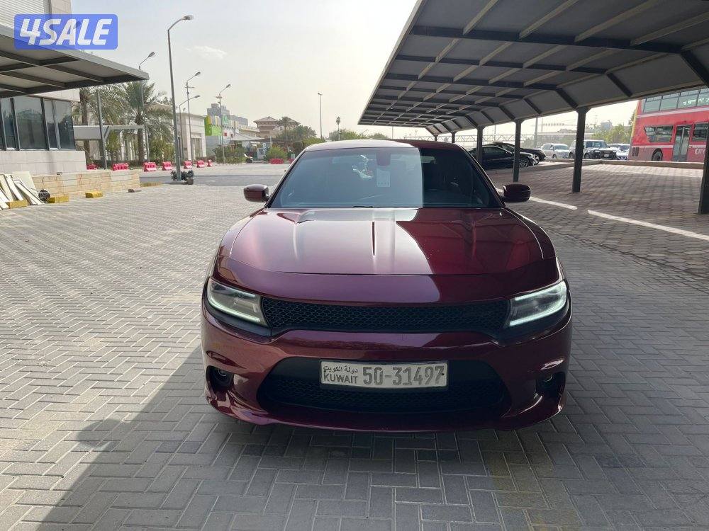 دووج جارجر ماشي 120 صبغ قطعه4