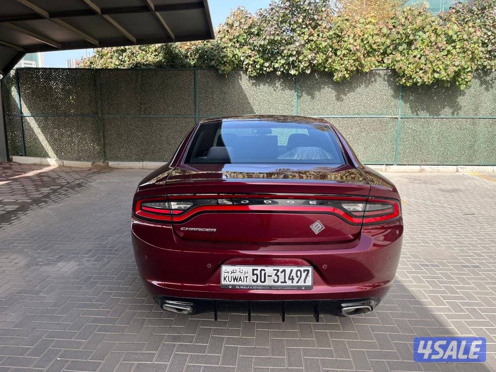 دووج جارجر ماشي 120 صبغ قطعه6