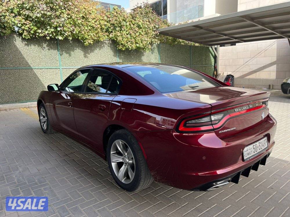 دووج جارجر ماشي 120 صبغ قطعه5