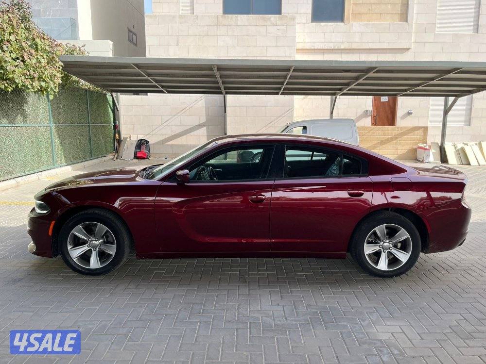 دووج جارجر ماشي 120 صبغ قطعه8