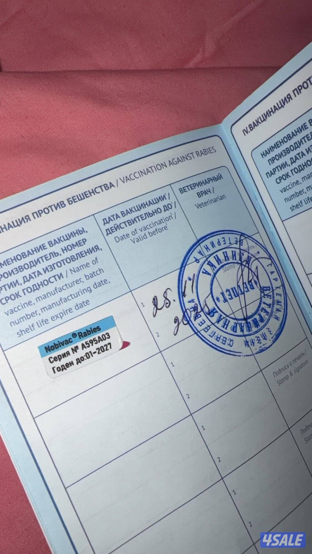 للبيع يوركشاير7