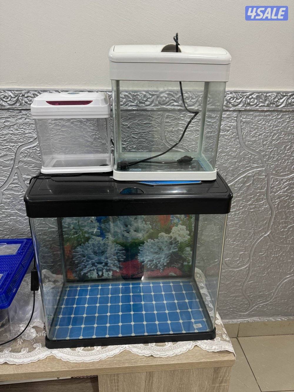 احواض سمك للبيع مع مستلزمات الحوض كامله0