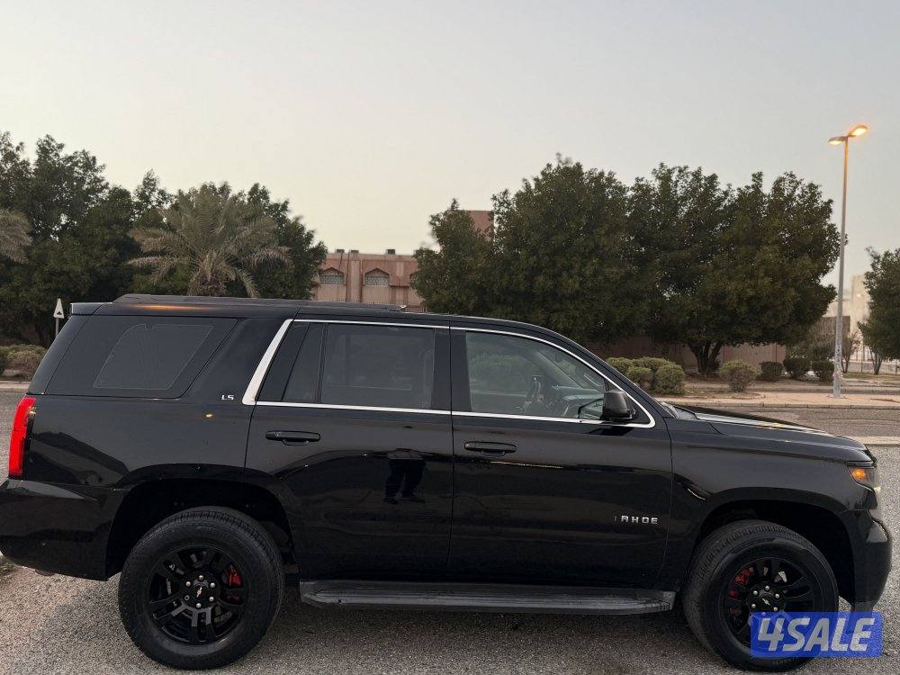 شرط الفحص صبغ الوكالة6