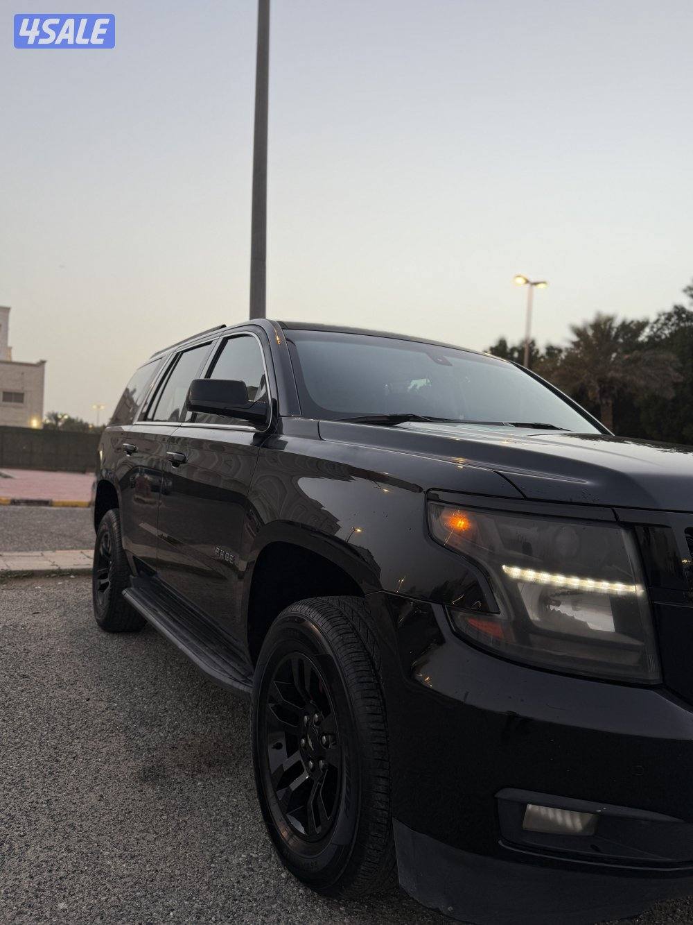 شرط الفحص صبغ الوكالة7