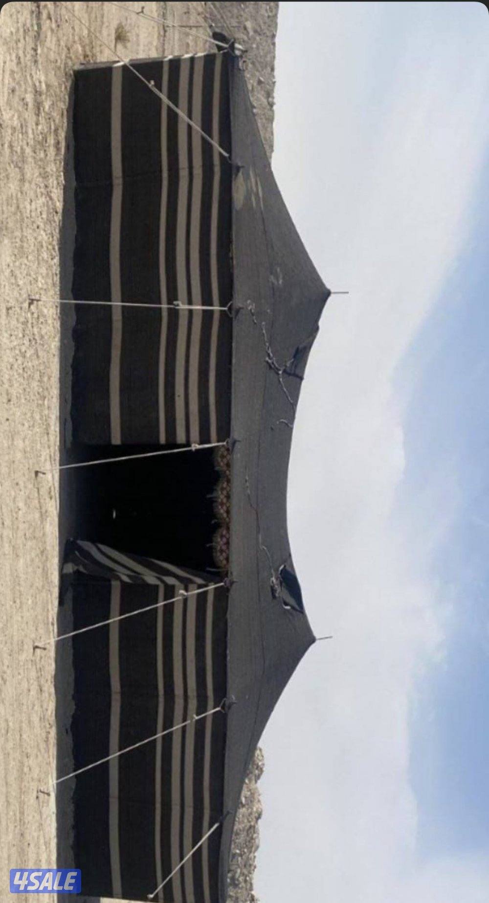 بيت شعر ٥/٩ للبيع طالب فيها ٥٠0