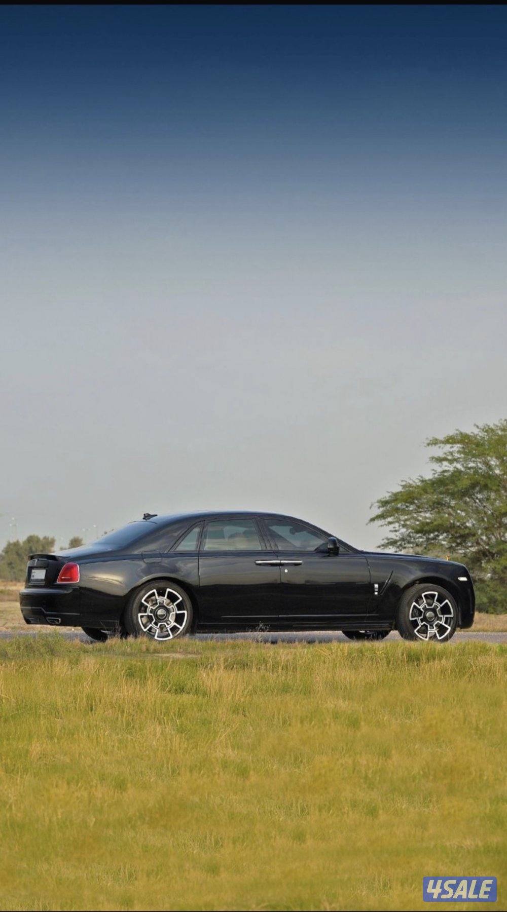 صباح الناصر2