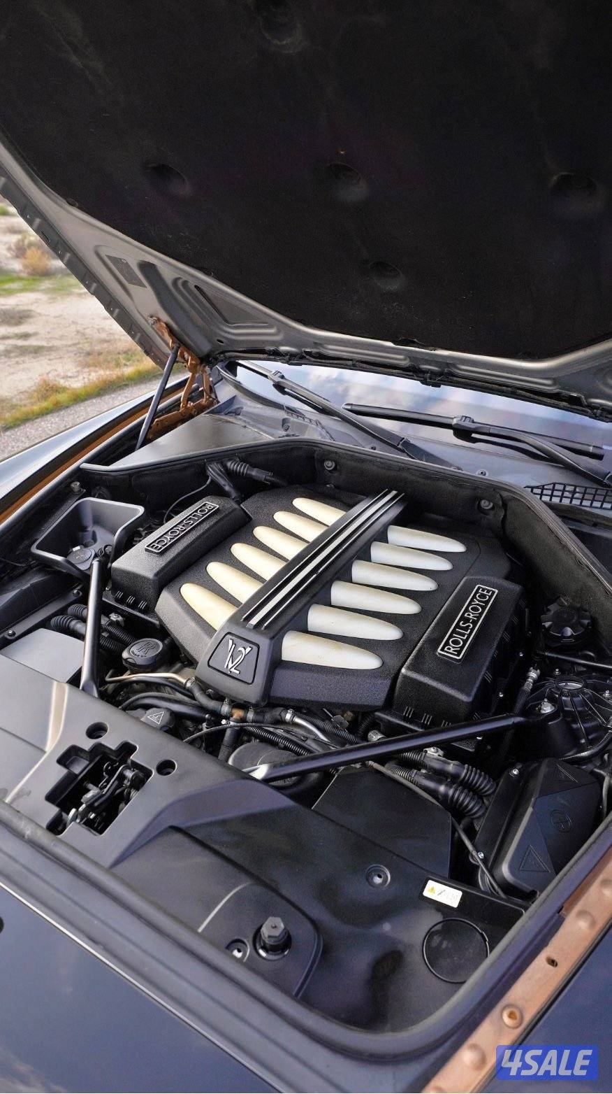 صباح الناصر15