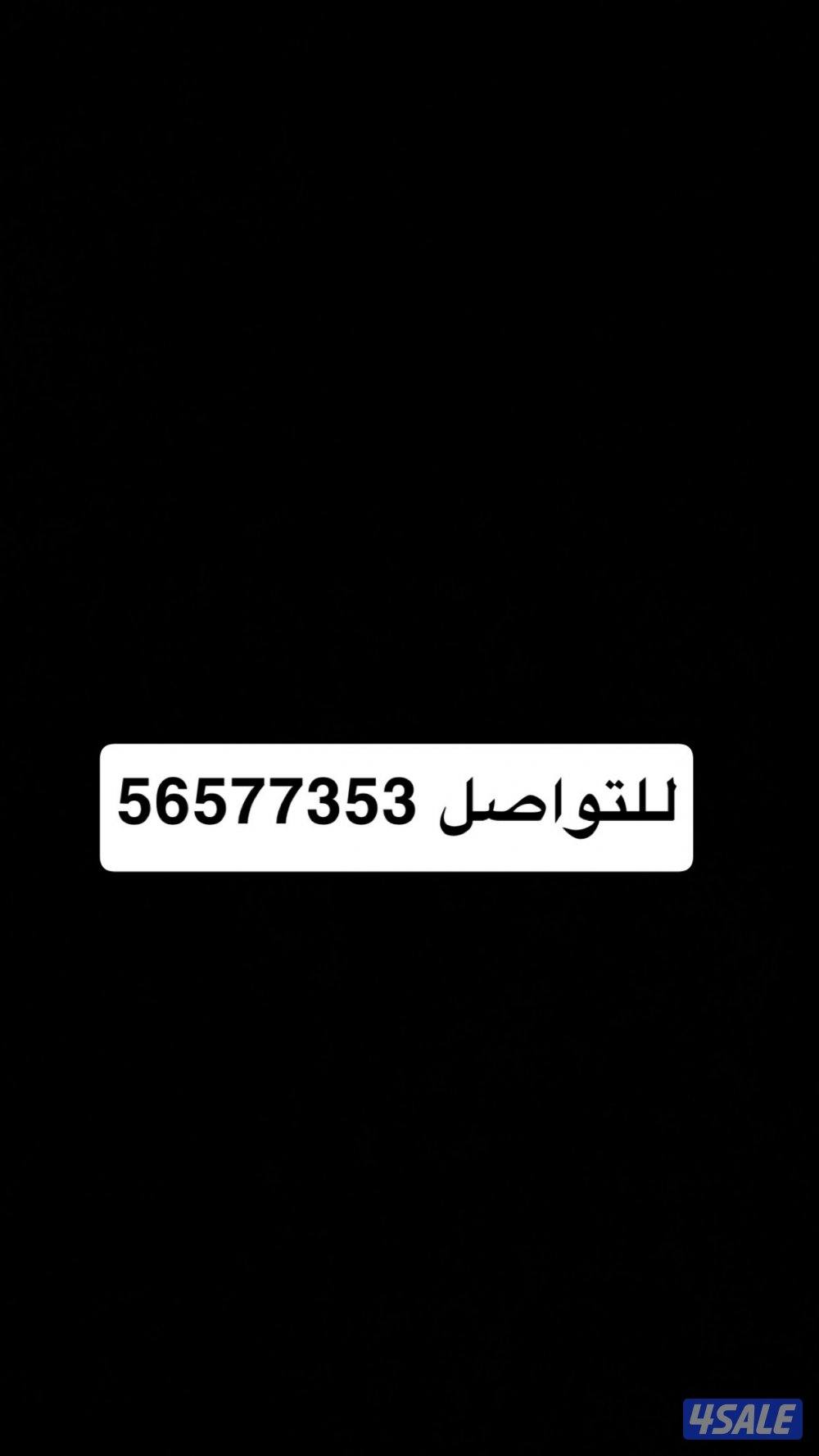 للبيع طير تبع شاهين ، الرقم1